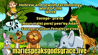 Hebrew And Jewish Terminology Savage- Pra’ee, Pere/ Peer’ey Adam &Savagery - Pra’oot