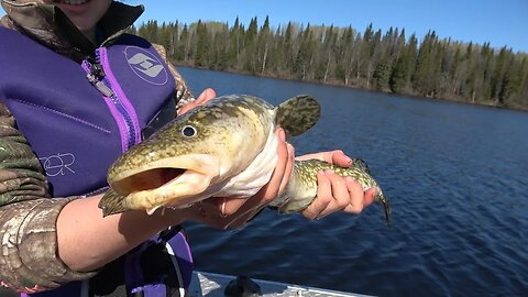 Burbot - and something special for Jay and Sam Siemens