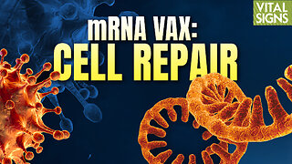 How mRNA Vaccine Cell Damage Can Be Reversed Through Lipid Replacement Therapy