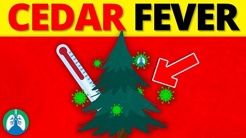 What is Cedar Fever? (EXPLAINED)
