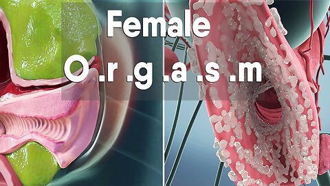Biology of Female Orgasm and girl anatomy