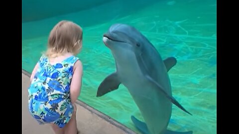 A Serene Encounter Between a Curious Girl and a Playful Dolphin