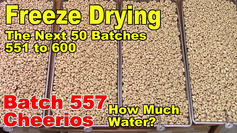 Freeze Drying - The Next 50 Batches - Batch 557 - Moisture Test: How Much Water is in Cheerios