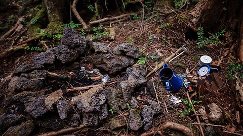The Aokigahara Forest