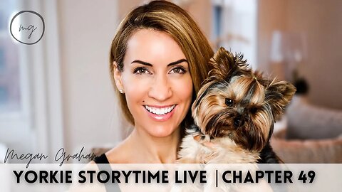 Yorkie Storytime Live| Chapter 49