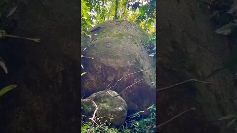 Ancient Petroglyphs at Our Ayahuasca Retreat Center