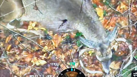 Using Drone To Find Wounded Buck￼￼