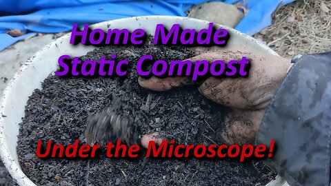 Homemade Compost Under the Microscope! LIVE!