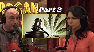 Tulsi Gabbard & Joe Rogan Discuss The Benifits Legalization Of Cannabis And Jan 6 Part 2