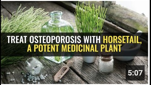 Treat osteoporosis with horsetail, a potent medicinal plant