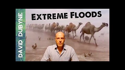 Global Flood Report (May 2024)