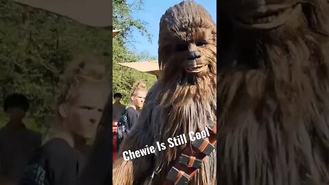 Seen Around Batuu | Don't Care Chewie Is Still Cool.