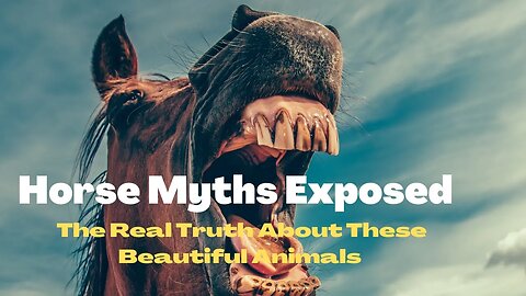 Horse Myths Busted: Clearing Up Common Misconceptions