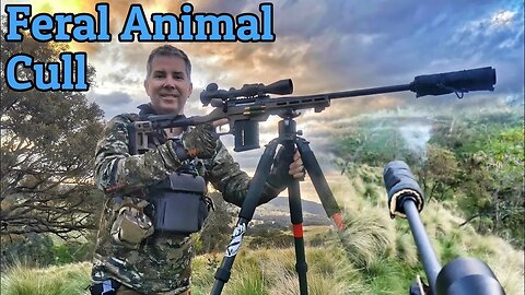 Action Packed Shooting Feral Pigs Foxes & Wild Deer || 308 Winchester GoPro Hunting Video & Thermal