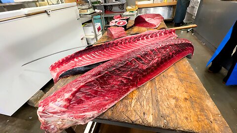 GIANT Tuna Cutting at the NEW Toyosu Fish Market in Tokyo Japan