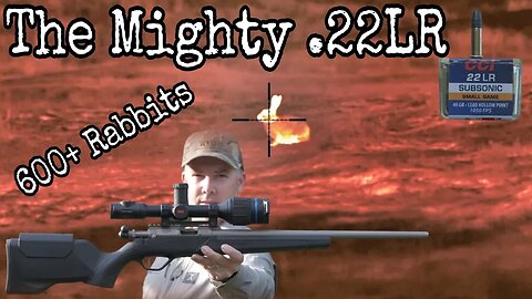 The Mighty .22LR - Rabbit Cull Contract Shooting