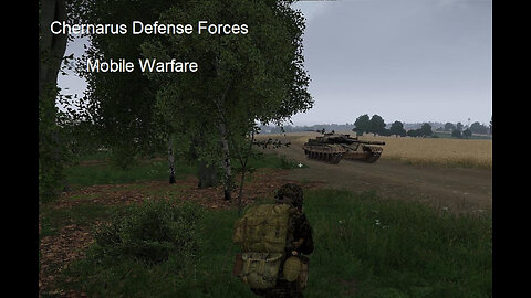 Chernarus Defense Forces Combat Operations in Northwestern Chernarus