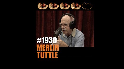 JRE #1932 Merlin Tuttle & short opinions on #1930 Adam Curry #1931 Mike Glover #1933 Jordan Peterson