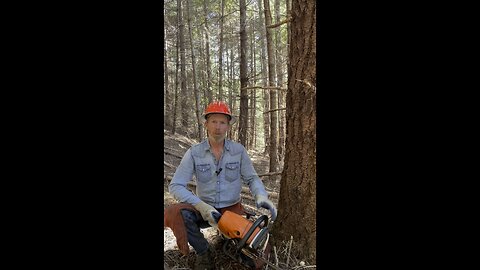 Why I Wear a Hardhat When Running a Chainsaw. The Incident