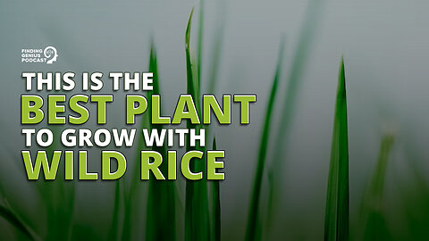 This Is the Best Plant to Grow With Wild Rice