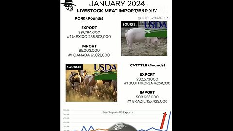 UNITED STATES🇺🇸🥩🐂MASSIVE MEAT IMPORTS FROM OTHER NATIONS🥓🐖💫