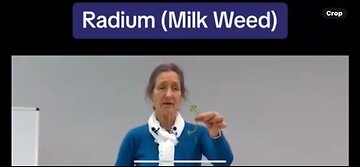 Barbara O’Neil - The Benefits Of Radium ( Milk Weed )