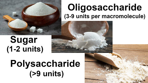 Organic Compounds: Carbohydrates or Saccharides