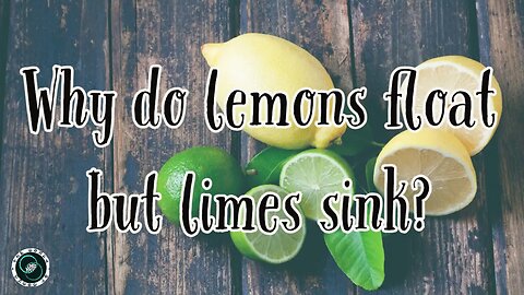 Why do lemons float but limes sink? | Short Fact | The World of Momus Podcast