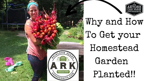 All about heirloom seeds: a homestead conversation with the Ark Seed Kit project