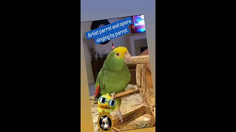 Opera singer parrot