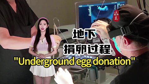 The entire process of "underground egg donation"
