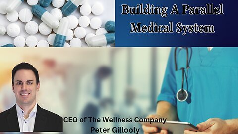 Building A Parallel Medical System| CEO Of The Wellness Company Peter Gillooly