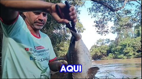 pesca