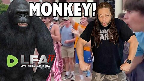 MONKEY'S ARE NOW ON CAMPUS! | CULTURE WARS 5.3.24 6pm EST