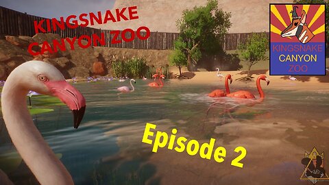 Flamingo Cove | Kingsnake Canyon Zoo: Episode 2