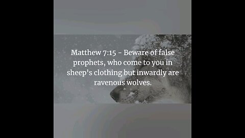 False Prophets 2024