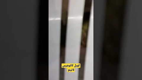 كوبل كالوبتيس لاتينو روعة