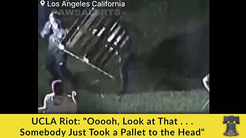 UCLA Riot: "Ooooh, Look at That . . . Somebody Just Took a Pallet to the Head"