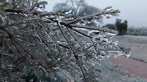 Central Texas February Ice Storm 2023, Day 2