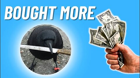 I JUST BOUGHT MORE CROW WITH KNIFE (CAW) COIN || THIS IS WHY