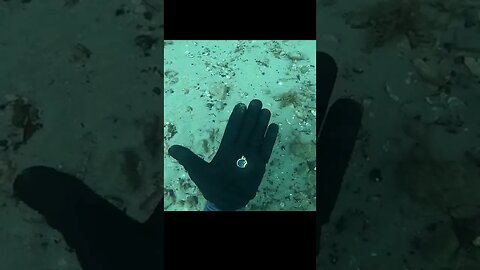 I found Jewelry Scuba Diving the Ocean