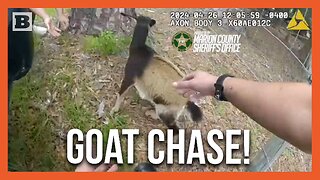 "Come Here!" Police Officers Chase Runaway Goat