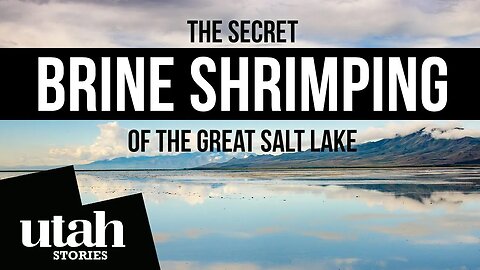 The Secret Brine Shrimping of The Great Salt Lake