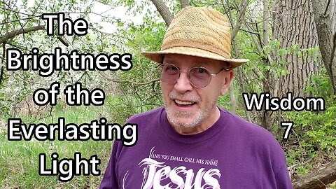 The Brightness of the Everlasting Light: Wisdom 7