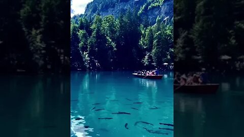Blue Lake, Blausee, Switzerland, Swiss🇨🇭#shorts #swiss #swissalps #switzerland #alps