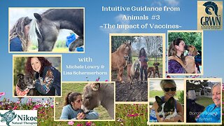 Intuitive Guidance from Animals - #3 - The Impact of Vaccines