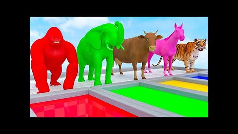 Learn Colors With Animals Cow, Tiger, Lion, Gorilla, Elephant, Shark Crossing Animal Animation