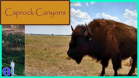 Caprock Canyons | Fern Cave