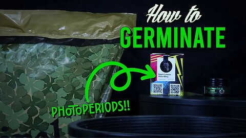 How To Germinate (Our FIRST Photoperiods!)