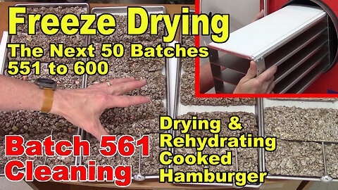 Freeze Drying - The Next 50 Batches - Cleaning Before Batch 561 - Drying & Rehydrating Hamburger